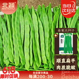北蔬 扁架豆种子苗早熟四季豆宽豆角菜豆爬藤蔬菜种籽 扁架豆种子20g