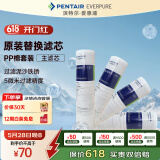 爱惠浦（Everpure）家用厨下 10寸/5微米 前置过滤各品牌通用净水器 PP棉滤芯4支装
