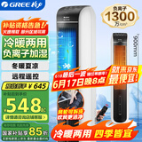 格力（GREE）【冷暖两用】冷风空调扇制冷风扇家用水冷风机电风扇取暖器暖风机负离子加湿加水降温KS-04S68RDg