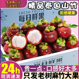 振亿沭泰国山竹新鲜进口油麻竹应季热带水果一级特大果整箱孕妇生鲜水果 净重2.6斤 单果60g起 精选果4A级