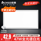 志高厨房灯集成吊顶厨卫灯具300x300x600x600扣板灯卫生间吸顶平板灯 47W /300*600mm/白色/白光