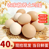 芮瑞 农家散养新鲜现捡鸡蛋笨鸡蛋谷物柴鸡蛋初生蛋 单枚40±5g 40枚