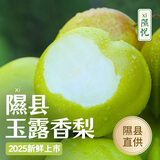 隰县玉露香梨 【顺丰现货】整箱香梨当季水果山西隰县小西天特产 孕妇水果送礼 9粒梨王（净重约9斤）单果100+mm