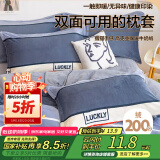艾薇牛奶绒枕套法兰绒学生宿舍枕头套一个 清风韵律 48*74cm