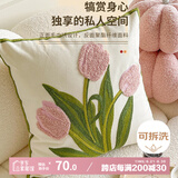 艾薇沙发抱枕靠垫床上靠枕汽车腰靠办公室腰枕套含抱枕芯45*45郁金香