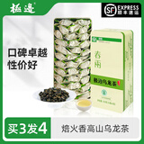 极边 春雨罐装云南高山茶乌龙茶绿色食品小袋装茶叶送礼256g