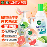 滴露泡沫洗手液250ml*2+内衣除菌液750ml 洗衣消毒液儿童洗手护手