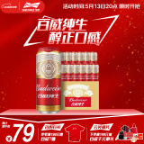 百威啤酒经典纯生500ml*12听整箱装新旧包装春日出游