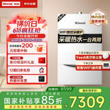 林内（Rinnai）燃气壁挂炉 【国家补贴15%】四大控温模式节能省气天然气地暖生活水两用冬季采暖锅炉RBS-24C33(L)