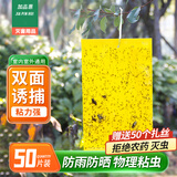 加品惠粘虫板黄板诱虫板50张10*20cm双面苍蝇贴果蝇飞蛾小飞虫诱捕神器