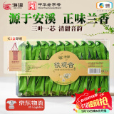 中茶海堤茶叶礼盒铁观音清香型小包装 闽南乌龙茶 【居家自饮】透明盒250g*1盒