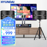 HYUNDAI现代家庭影院ktv音响套装家用k歌电脑电视客厅卡拉ok全套会议室卡包店铺专业功放音箱设备 【经典版】10吋音响套装