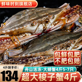 舟山超大梭子蟹新鲜蟹活冻大螃蟹冰鲜飞蟹花盖蟹生鲜 蟹类 4斤5-7只【139】
