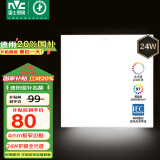 雷士（NVC）厨房灯国家补贴集成吊顶灯卫生间平板灯铝扣板灯极窄全光谱24W
