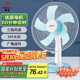 华生（Wahson）电风扇/台扇/落地扇/低音风扇/大风量家用定时电扇空调伴侣交流定频电风扇 FT-A1401 