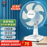 华生（Wahson）电风扇/台扇/低音风扇/大风量家用电扇/空调伴侣交流定频风扇 WS-A1201
