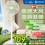 钻石牌落地扇家用电风扇【1级能效+直流变频+纯铜电机】摇头扇省电无极变速强劲风力大网罩DFS-ZBHM07