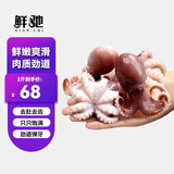 鲜驰八爪鱼新鲜小章鱼海鲜活冷冻水产即食长腿八抓鱼迷你章鱼足大爆头 小八爪鱼 2斤(净重) 