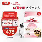 皇家幼猫猫粮 幼猫奶糕 K36 通用粮 4-12月 10KG