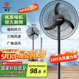华生（Wahson）电风扇家用落地扇交流定频电扇立式工业扇18吋牛角扇低噪大风量宿舍办公车间商用强力风扇FS-D1806