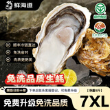 鲜海道【活鲜】鲜海道生蚝  乳山牡蛎 新鲜海蛎子生鲜贝类 超大号7XL号带箱10斤