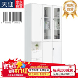 天迎文件柜铁皮柜钢制办公室组合书柜带锁2米高左二抽TY-WJ2153