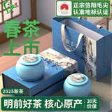 双碑绿茶信阳毛尖200g2025年明前新茶春茶高档茶叶瓷罐礼盒装送礼送人