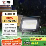 公牛（BULL）LED投光灯户外庭院工厂园林灯露营灯 IP65防水等级30W-6500K白光