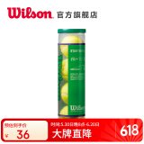 Wilson威尔胜训练网球儿童青少年专用网球STARTER PLAY BALLS WRT137400