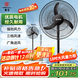 华生（Wahson）电风扇家用落地扇交流定频电扇立式工业扇18吋牛角扇低噪大风量宿舍办公车间商用强力风扇FS-D1806