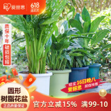 爱丽思花盆塑料圆形树脂多肉花盆种花种菜盆绿萝爱丽丝 蓝色口径26.6cm