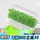 德沃多肥料育苗盘芽苗菜苗种植盘保温育苗盆水培发芽盆普通加密盘