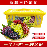 思绮【顺丰】新疆玻璃翠葡萄 火焰无核三色白葡萄脆甜马奶提子水果 新疆三色葡萄 4斤【顺丰直达】 源头直采
