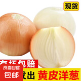 新鲜洋葱水果黄洋葱超市即食大个葱头 黄洋葱 4斤