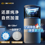 大宇（DAEWOO） 无雾加湿器卧室空气净化一体婴儿大容量家用除菌轻音落地式冷蒸发办公室客厅大面积增湿母婴级 J11-Ultra智能WiFi款