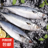 京喜加鲐鲅鱼青占鱼青鱼新鲜冷冻鲅鱼青花鱼整条鲐鱼深海捕捞海鲜鱼类 6斤【超值】鲐鲅鱼150-200g/条