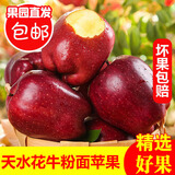味果生甘肃天水花牛苹果应季新鲜水果刮泥粉面宝宝辅食蛇苹果整箱送礼 9斤特大果【85-90mm】净重8.5斤