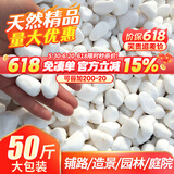 大海边【12仓速发】 50斤白石子鹅卵石铺面石园艺盆栽造景庭院铺路花园 50斤无粉精品白石【1.0-2.0cm】