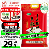 十月稻田 当季新米 长粒香大米 10斤（东北大米 香米 5公斤/十斤）