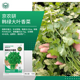 京农研农科院蔬菜种子大叶香菜四季小葱鸡毛菜红苋菜芝麻菜空心菜种籽孑 韩绿大叶香菜 10克