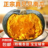 山东贝贝南瓜粉面粉糯宝宝蒸蛋辅食生鲜新鲜蔬菜减肥减脂早餐 贝贝南瓜 4.5斤 净重
