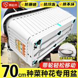 原起点种菜专用盆蔬菜种植箱家用神器大号花盆长方形条塑料户外庭院阳台 【5个】70cm长带轮 视窗款 升级款第三代