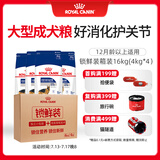 皇家皇家狗粮 成犬狗粮 犬粮宠物大型犬GR26全价犬粮≥15月4KG*4