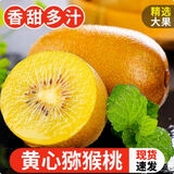 勇者无惧四川黄心猕猴桃水果【多地次日达】 黄金奇异果金果年货送礼装 稀有巨无霸 5斤净重 150g+彩箱装