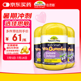 佳思敏（Nature's Way）儿童维C 黑接骨木免疫力VC软糖3瓶套装 60粒/瓶 2岁以上非礼盒