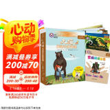 大猫英语分级阅读十二级1 Big Cat（初一、初二 读物5册+家庭阅读指导1册 点读版 附扫码音频）