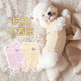 MIKI PAD狗狗绝育服手术狗狗衣服秋冬季薄款猫衣服包护肚公狗母狗术后防舔 背心护肚衣-黄色#可做绝育服 XS+ 胸围33背长23（建议3-5斤）
