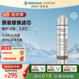 爱惠浦（Everpure）BH(2) 净水器主滤芯