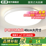 ARROW箭牌照明 吸顶灯led卧室灯客厅灯厨房阳台灯中山灯具 力荐-24W白光40cm适15平内