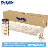 邓禄普（Dunlopillo）ECO长抱枕 斯里兰卡进口天然乳胶枕头 颈椎枕